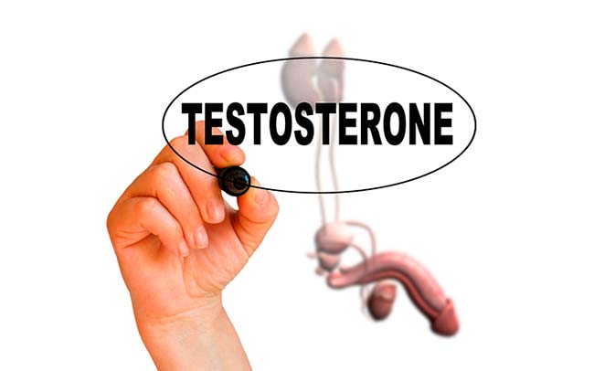 Тестостерон у мужчин