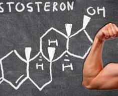 тестостерон в жизни мужчины