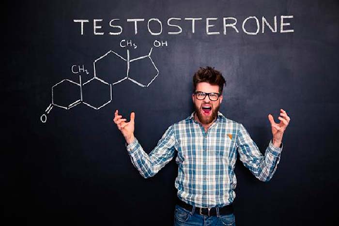 Тестостерона энантат - гормон