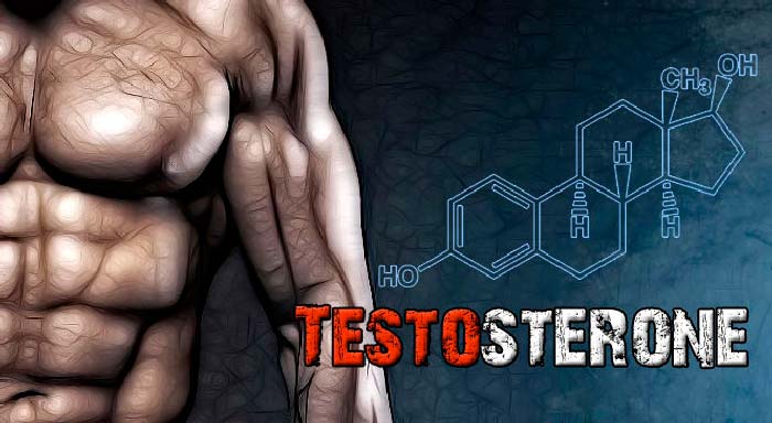 Тестостерон энантат - что это и как принимать?