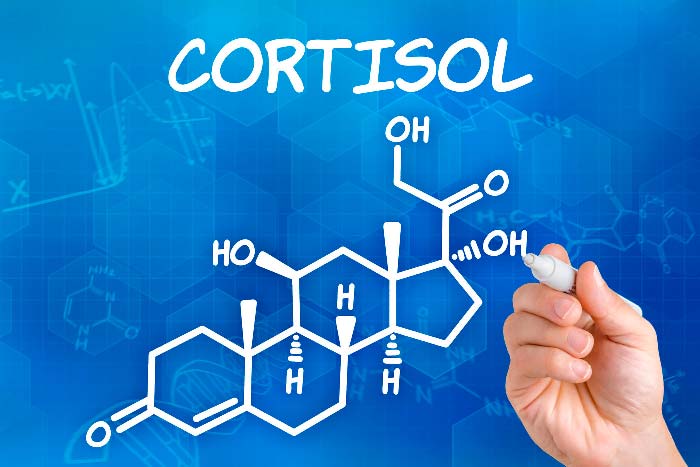 гормон кортизол